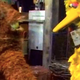 Illustration for article titled Become the next Mr. Snuffleupagus at the Sesame Street open auditions